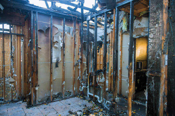 Professional Odor Removal technician working in Monroeville, IN